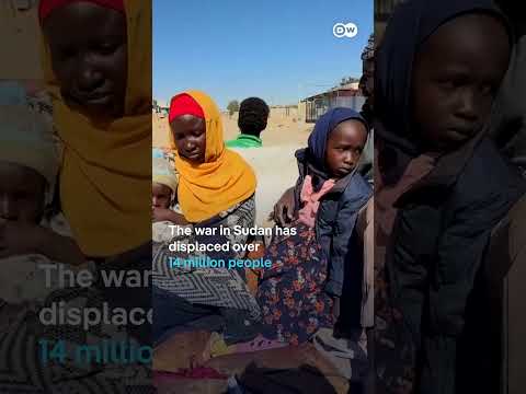 New report confirms famine in Sudan’s el-Fasher and Kadugli | DW News