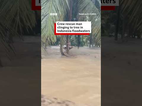 Crew rescue man clinging to tree in Indonesia floodwaters. #Indonesia #BBCNews