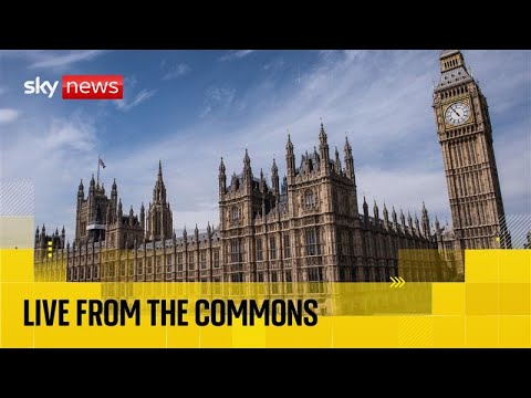 Commons leader faces urgent business questions