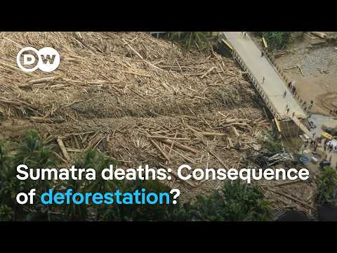 Hundreds confirmed dead as Sumatra death toll rises | DW News