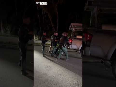 Eight men lift 43-stone alligator off street