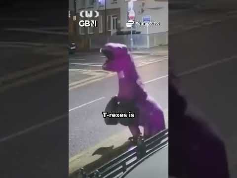 Watch fly-tipping T-Rex can’t on CCTV in Southend