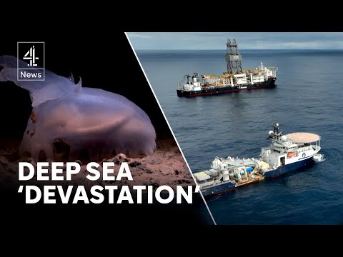 Deep sea mining has ‘devastating’ impact on biodiversity