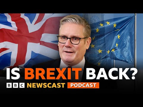 Why is the UK Prime Minister Keir Starmer talking about Brexit again? | BBC Newscast