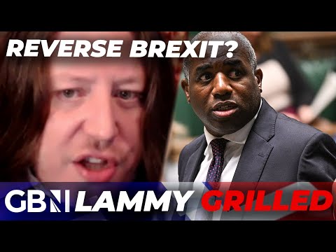 ‘ZERO respect for DEMOCRACY!’ | Barrister SLAMS David Lammy for refusing to not reverse Brexit