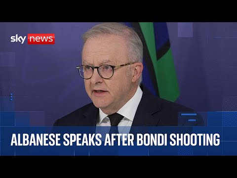 Younger Bondi Beach gunman was part of 2019 ‘investigation,’ says Australia’s prime minister