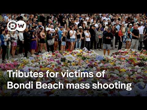 What we know about the Sydney terror attack | DW News
