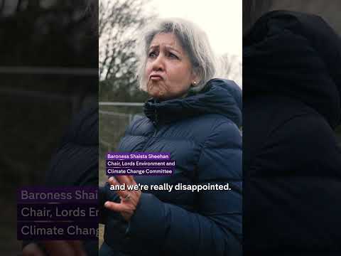 Peer outraged by illegal dump