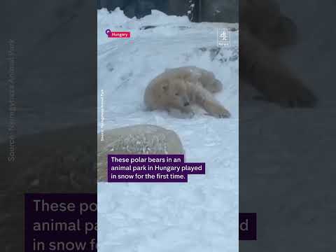 Winter weather prompts safety warnings across Europe