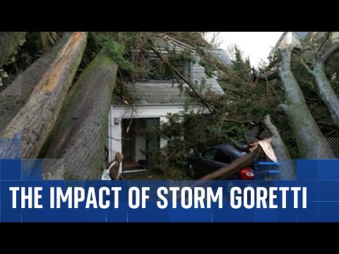 Home split open as trees collapse in storm during strong UK winds
