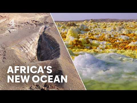Tectonic forces in Ethiopia are carving a new ocean across the continent