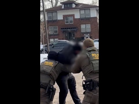 Border Patrol agents tackle anti-ICE protester