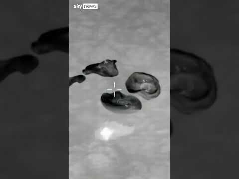 Moment space capsule splashes down after mission cut short due to “serious medical condition”