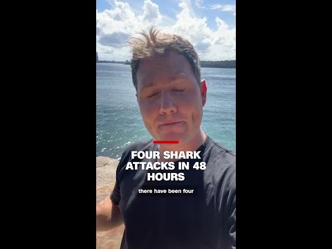 Four shark attacks in 48 hours