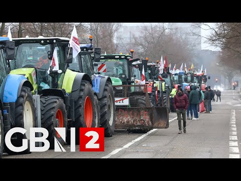 WATCH: French farmers protest in Strasbourg against Mercosur trade deal