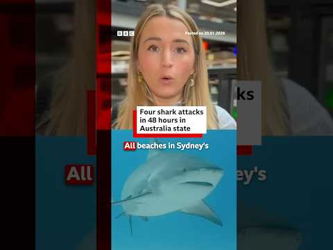 Four shark attacks in 48 hours in Australia state. #Australia #BBCNews