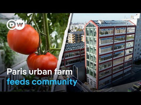 Paris urban farm feeds the city, and its community spirit | DW News
