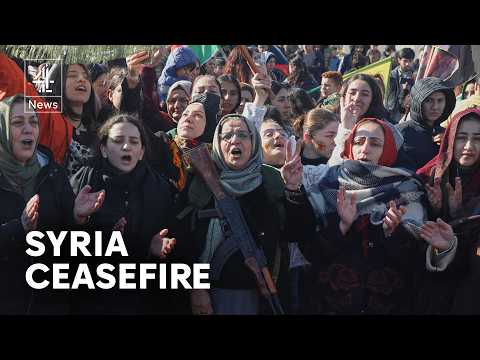 Syrian military takes control of Kurdish-held areas