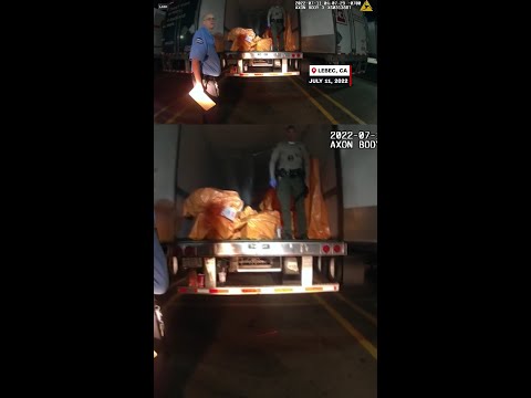 $100m jewelry heist suspect deported before trial