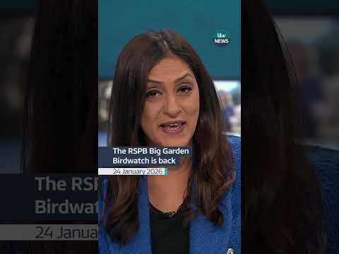 The Big Garden Birdwatch is the UK’s biggest citizen science wildlife survey #itvnews #birdwatching