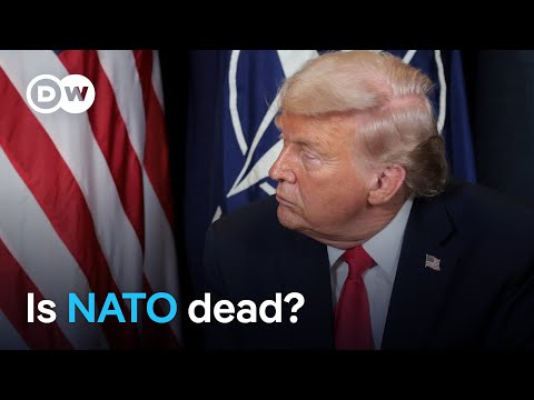 British security expert Edward Lucas: ‘We can’t rely on the United States’ | DW News