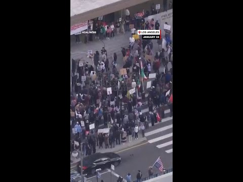 Protests erupt across US after Alex Pretti shooting