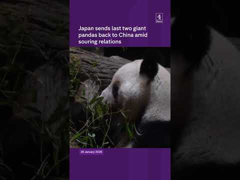 Japan returns last two pandas amid tensions
