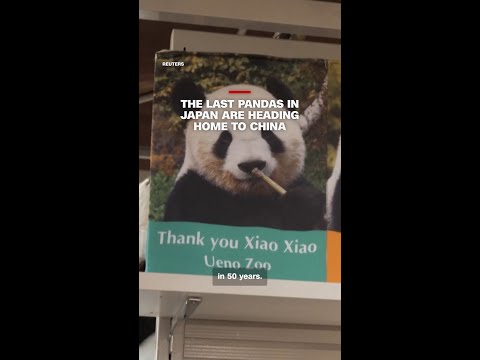 The last pandas in Japan are heading home to China
