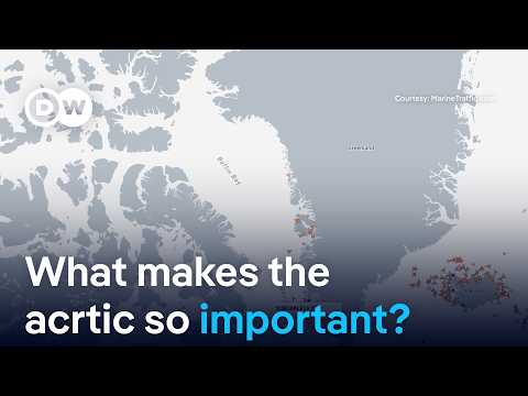 Why is the arctic so important for the US, China, Russia and Europe? | DW News