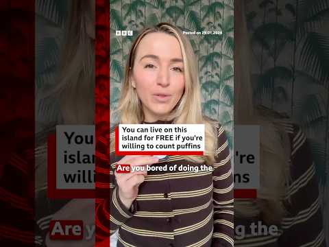 Fancy living on an island for free? You can – if you’re happy to count puffins. #Puffins #BBCNews