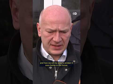 Berlin power outage points to vulnerable critical infrastructure | DW News