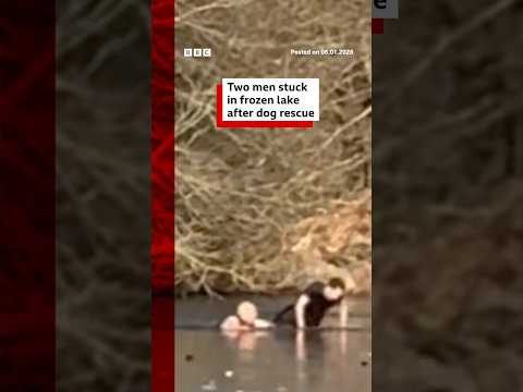Two men got stuck in a frozen lake trying to rescue a dog. #BBCNews