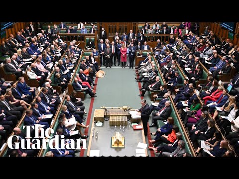 UK chief secretary to give statement to parliament on Epstein files – watch live