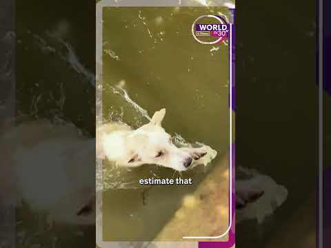 Heavy floods displace thousands in Colombia