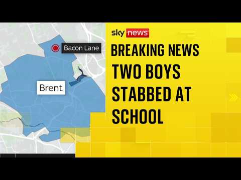 Police hunt teenage suspect after London school stabbings
