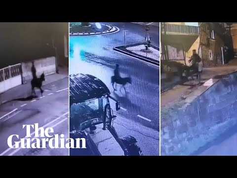 Gold thief flees scene of the crime on donkey in central Turkey