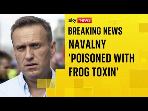Alexei Navalny died after being poisoned with dart frog toxin, UK and allies claim