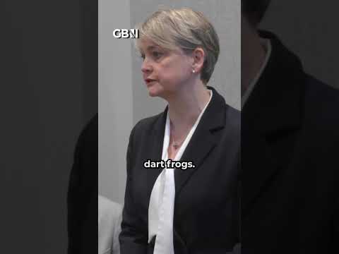 Alexei Navalny: Britain blames Russia for fatal poisoning of opposition leader