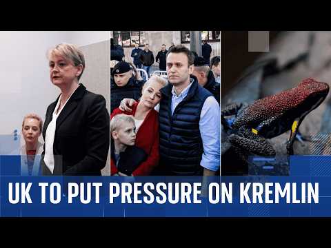 UK, Netherlands and three other allies to put pressure on Kremlin over Navalny’s poisoning