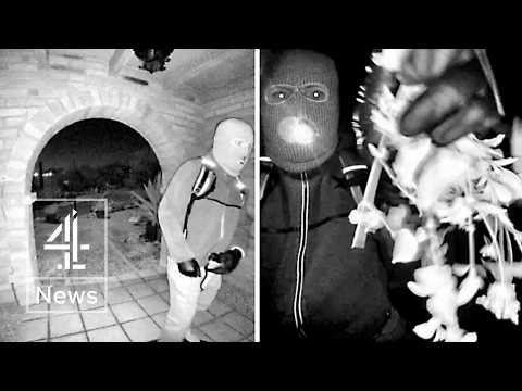 Guthrie latest: FBI analyse glove DNA linked to doorbell footage