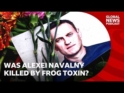 Was Alexei Navalny killed by a dart frog toxin? | Global News Podcast