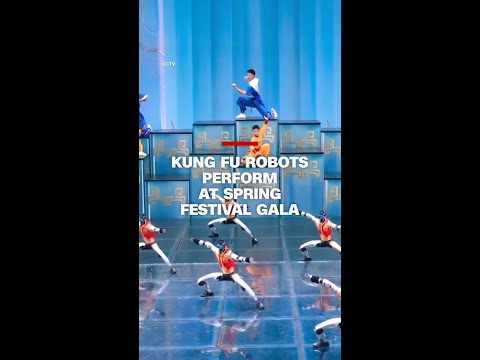 Kung Fu robots perform at Spring Festival Gala