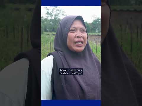 Expanding sinkhole threatens farmland in Indonesia | DW  News