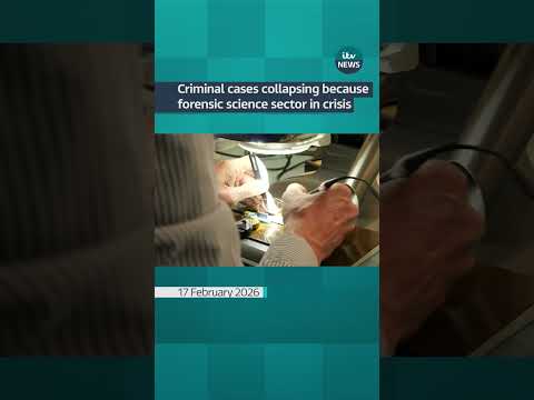 Report finds crucial evidence is being lost and delayed | ITV News