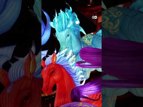 Chinese New Year: The Year of the Fire Horse begins | DW News