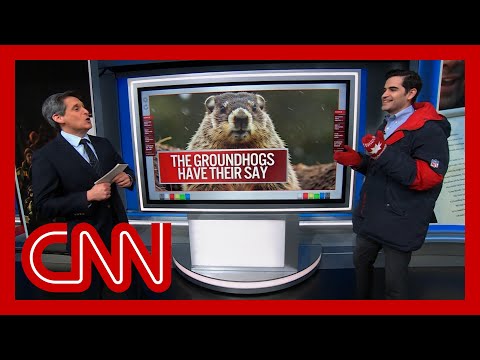 The Odds: Will the groundhogs get it right?