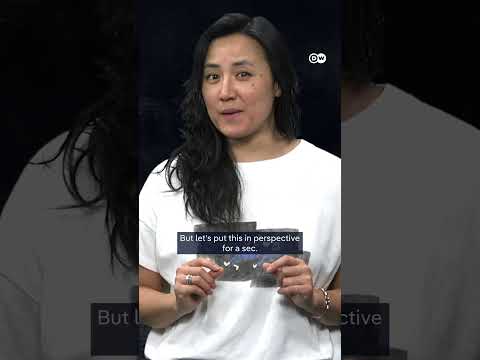 Thailand – Cambodia: What’s next? | DW News