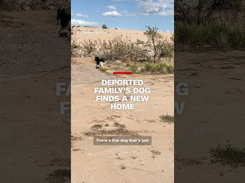 Deported family’s dog finds a new home
