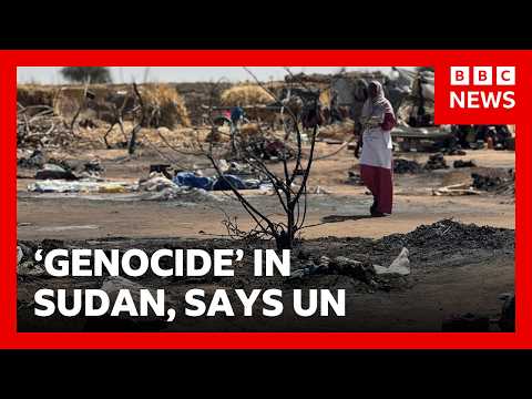 Sudan atrocities ‘hallmarks of genocide’, UN says | BBC News