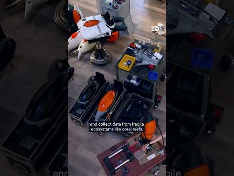 How robots will protect our oceans | DW News